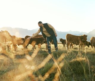 Le crédit d'impôt remplacement de l'agriculteur augmente en 2024